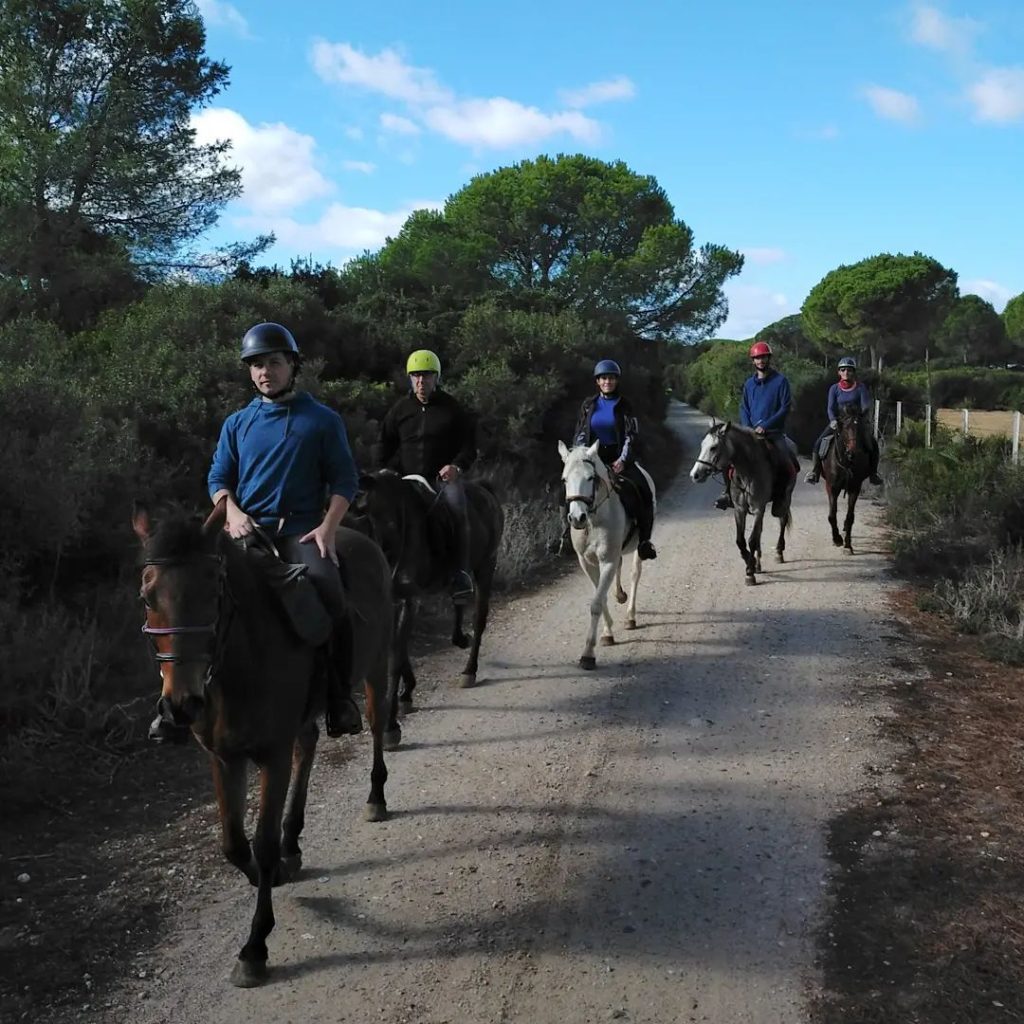 Rutas a caballo por la cañada real con Senderalia